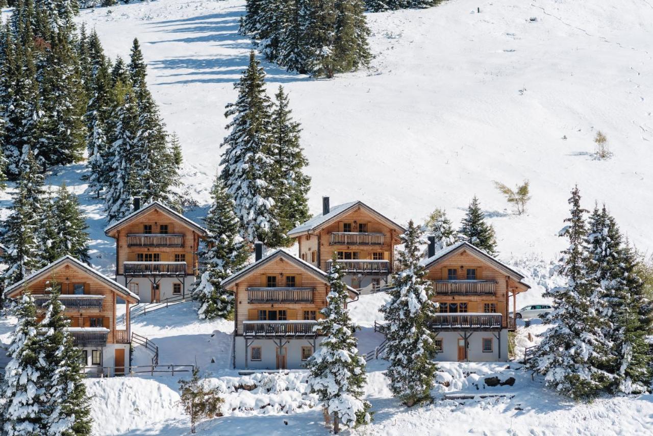 Feriendorf Koralpe Alpenrose Frantschach ภายนอก รูปภาพ