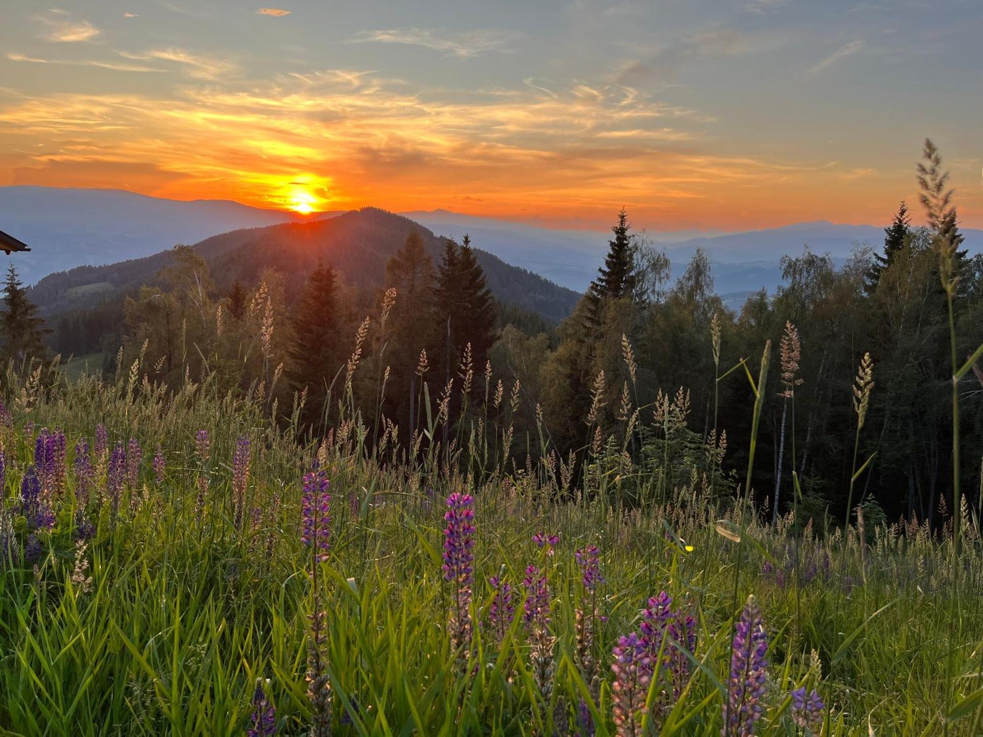 Feriendorf Koralpe Alpenrose Frantschach ภายนอก รูปภาพ